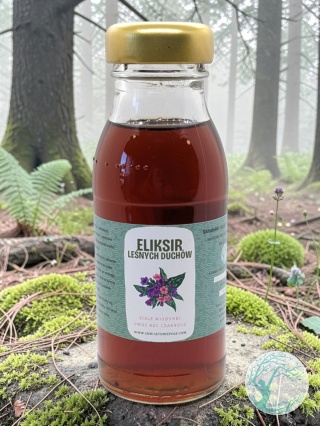 Eliksir leśnych duchów