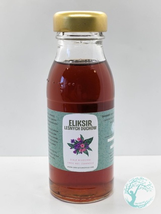 Eliksir leśnych duchów