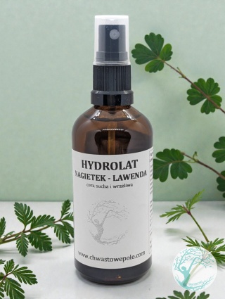 HYDROLAT NAGIETEK - LAWĘDA - SZKIC