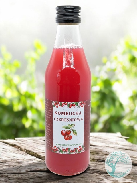 KOMBUCHA Z CZEREŚNI