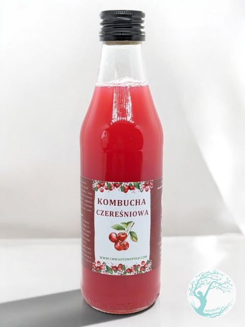 KOMBUCHA Z CZEREŚNI