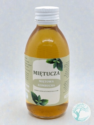 MIĘTUCHA – miętowa kombucha – 200 ml