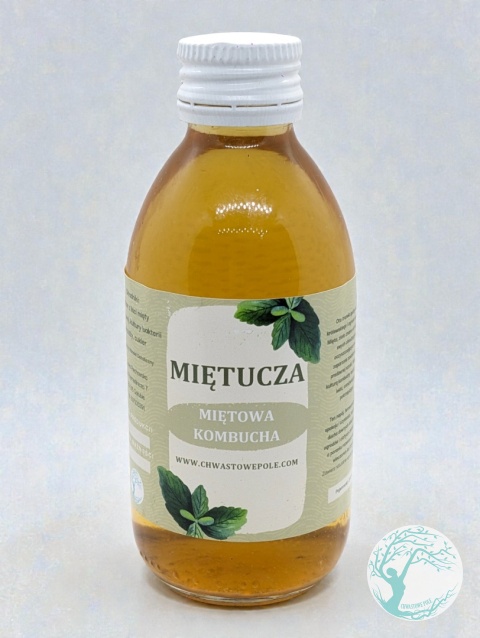 MIĘTUCHA – miętowa kombucha – 200 ml