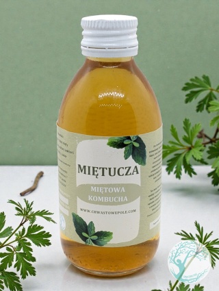 MIĘTUCHA – miętowa kombucha – 200 ml