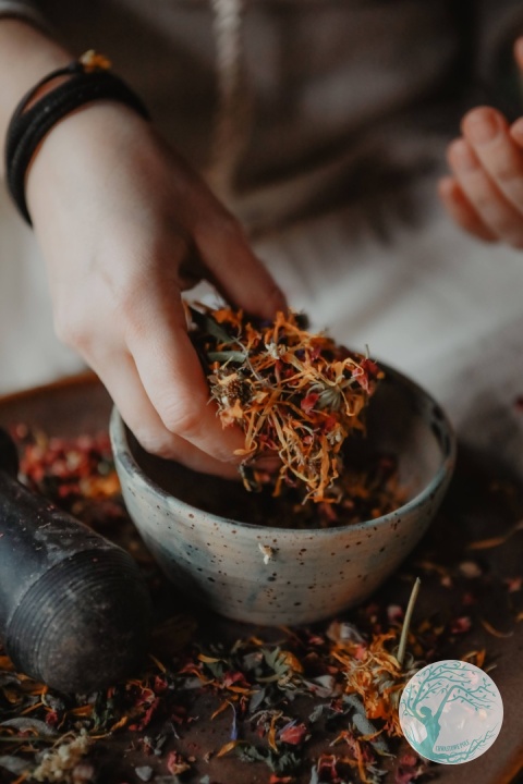 Ziołowa Apteczka – Komponowanie Mieszanek na Pięć Dolegliwości