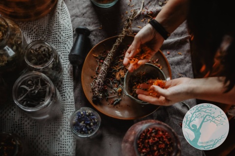 Ziołowa Apteczka – Komponowanie Mieszanek na Pięć Dolegliwości