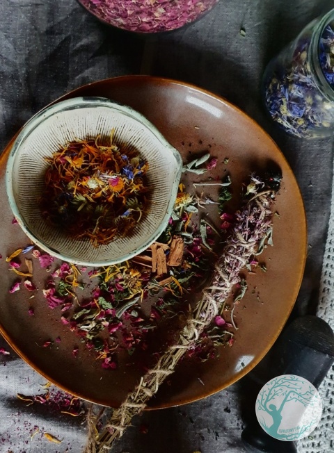 Ziołowa Apteczka – Komponowanie Mieszanek na Pięć Dolegliwości