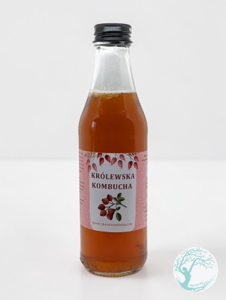 Królewska Kombucha z owoców dzikiej róży