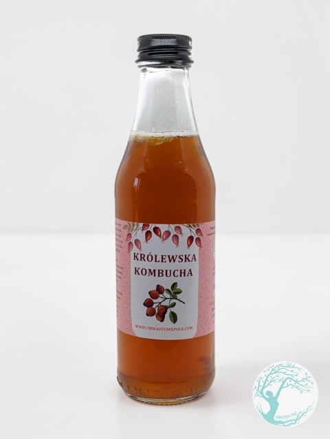 Królewska Kombucha z owoców dzikiej róży