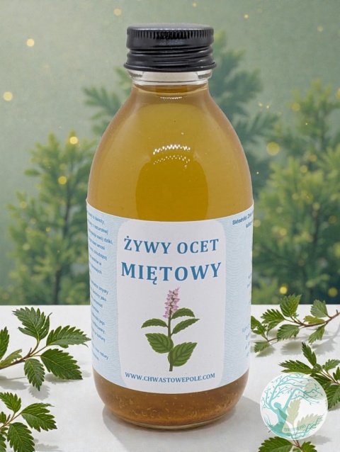 ŻYWY OCET Z MIĘTY PIEPRZOWEJ