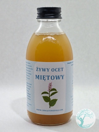 ŻYWY OCET Z MIĘTY PIEPRZOWEJ