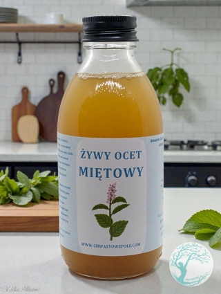 ŻYWY OCET Z MIĘTY PIEPRZOWEJ