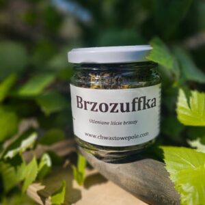 Brzozuffka - UTLENIANE LIŚCIE BRZOZY