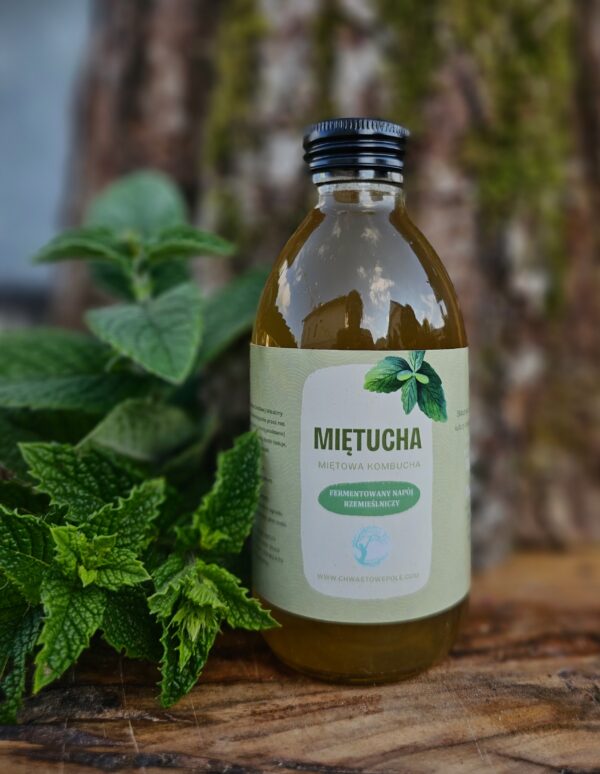 MIĘTUCHA - miętowa kombucha - 200 ml