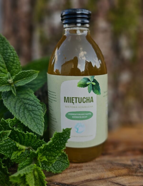 MIĘTUCHA - miętowa kombucha - 200 ml - obrazek 3