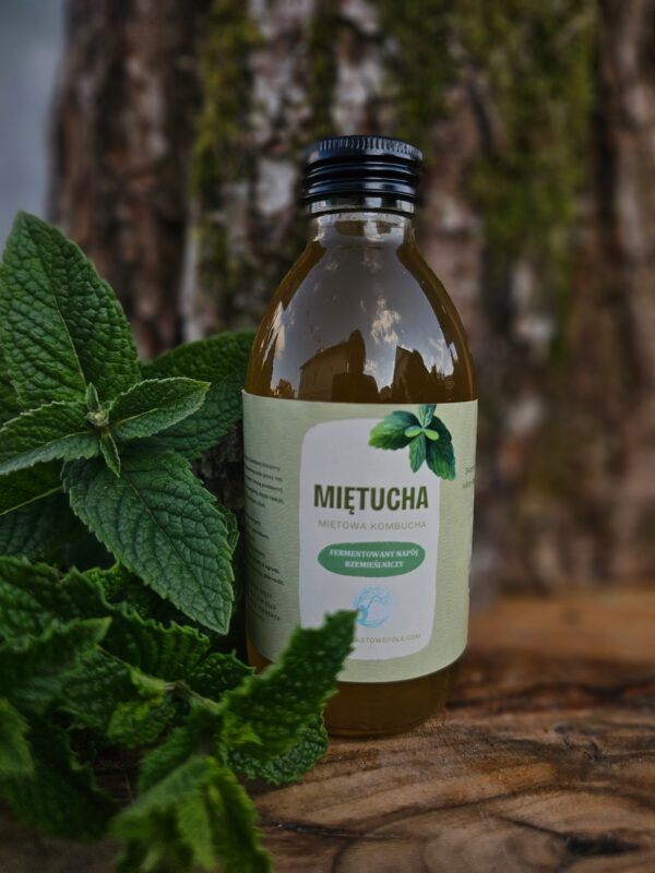 MIĘTUCHA - miętowa kombucha - 200 ml - obrazek 2