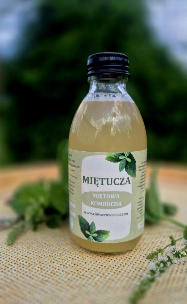 Miętucza-kombucha - obrazek 4