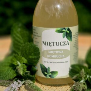 Miętucza-kombucha