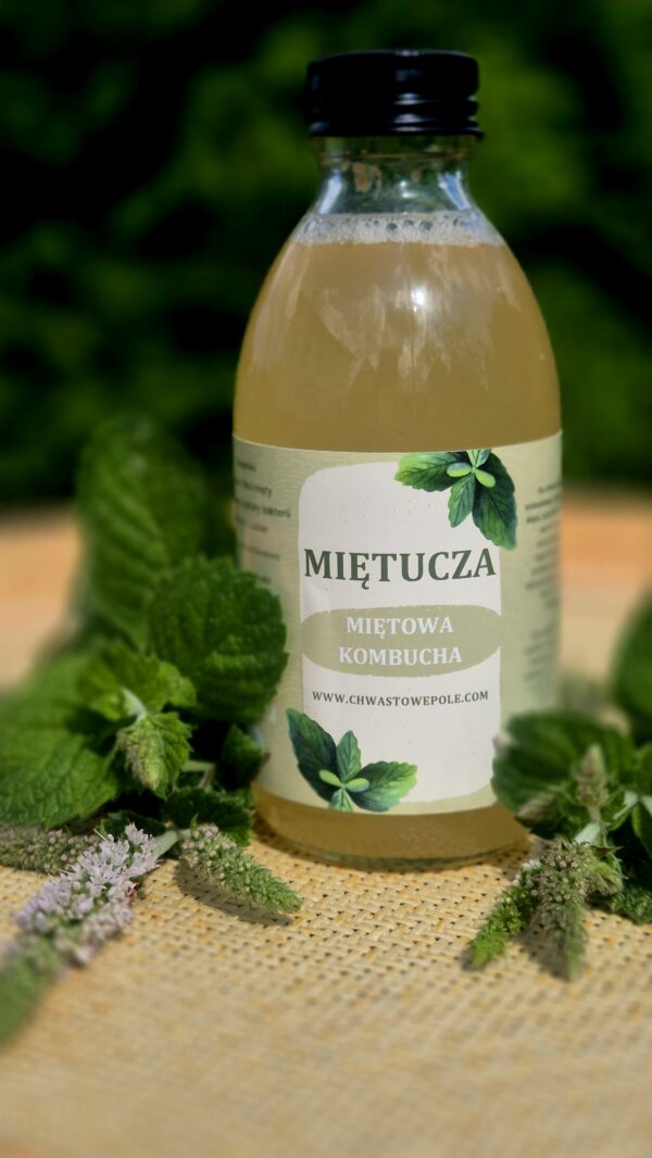 Miętucza-kombucha