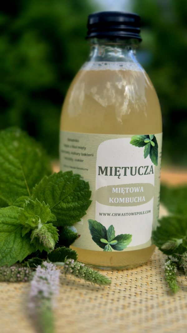 Miętucza-kombucha - obrazek 3