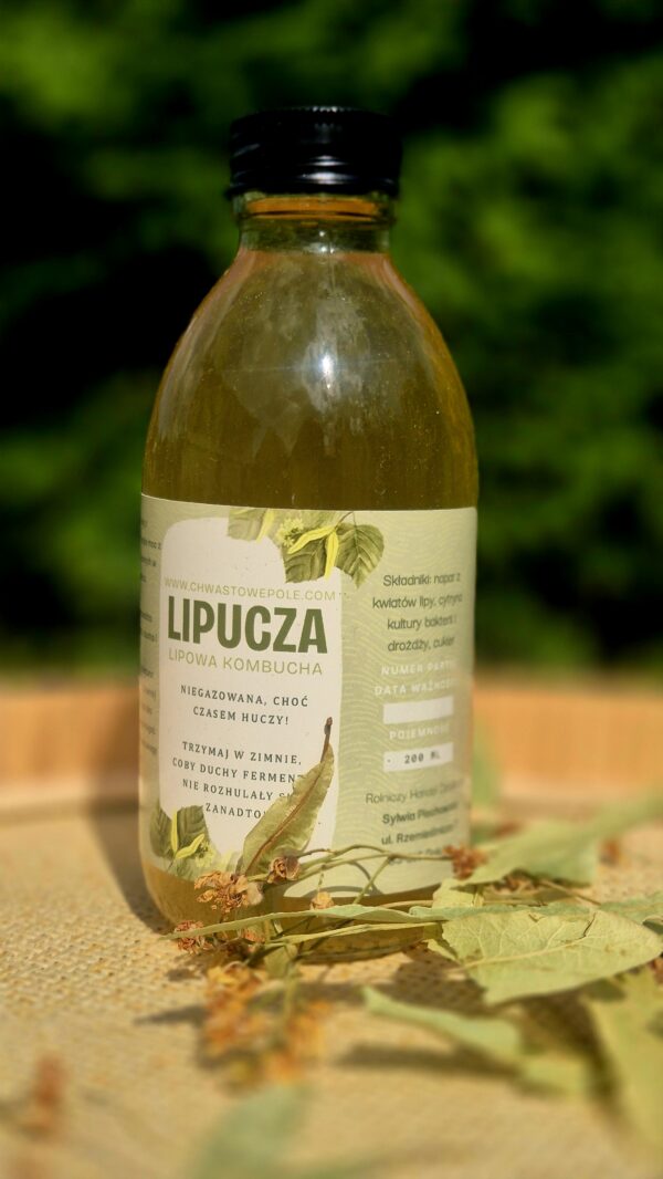 Lipucza-kombucha - obrazek 4