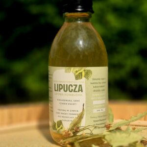 Lipucza-kombucha