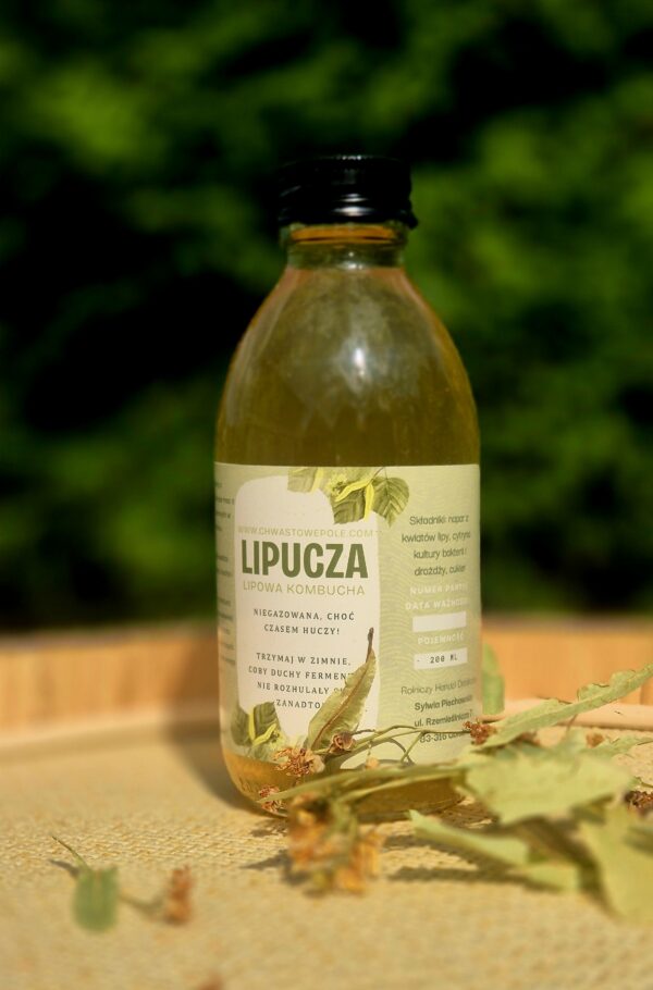 Lipucza-kombucha
