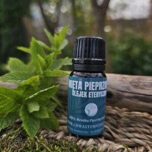 MIĘTA PIEPRZOWA - naturalny olejek eteryczny