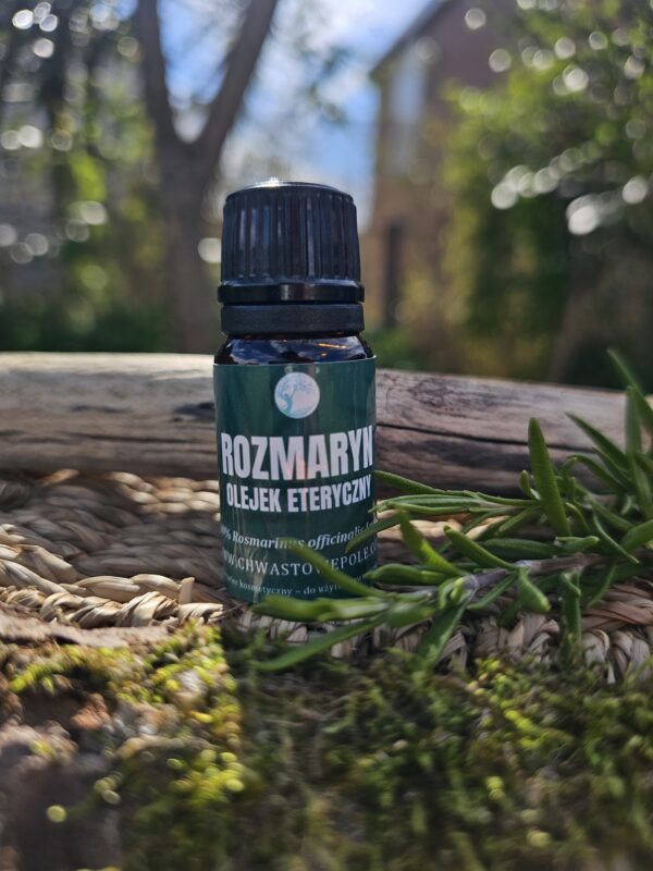 ROZMARYN - naturalny olejek eteryczny - obrazek 2