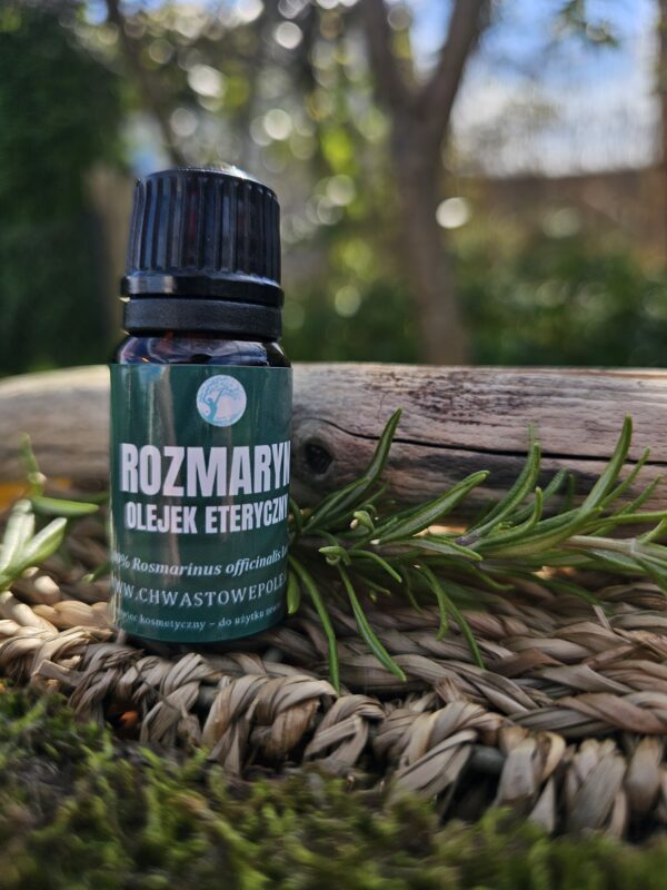 ROZMARYN - naturalny olejek eteryczny