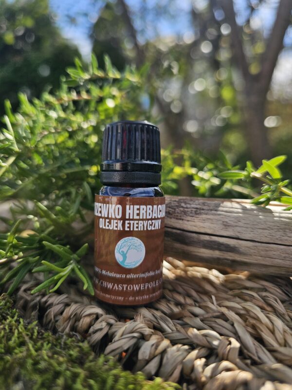 DRZEWKO HERBACIANE - naturalny olejek eteryczny - obrazek 2