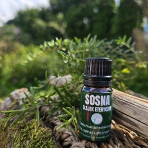 SOSNA - naturalny olejek eteryczny