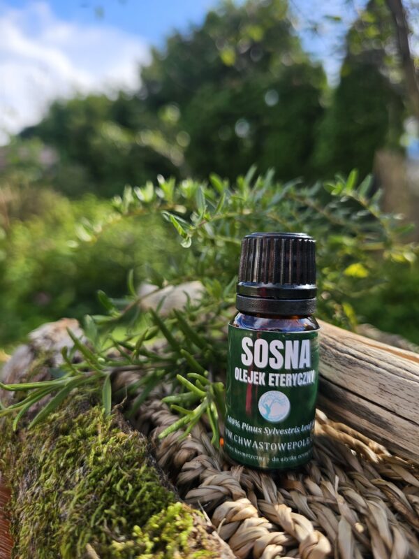SOSNA - naturalny olejek eteryczny