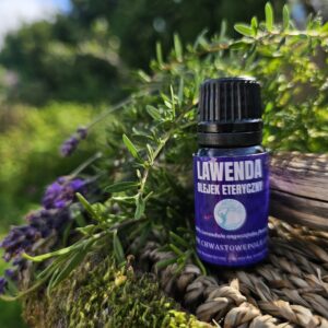 LAWENDA -  naturalny olejek eteryczny