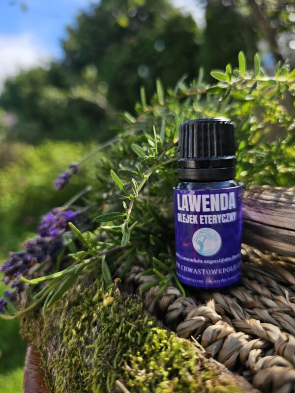 LAWENDA -  naturalny olejek eteryczny