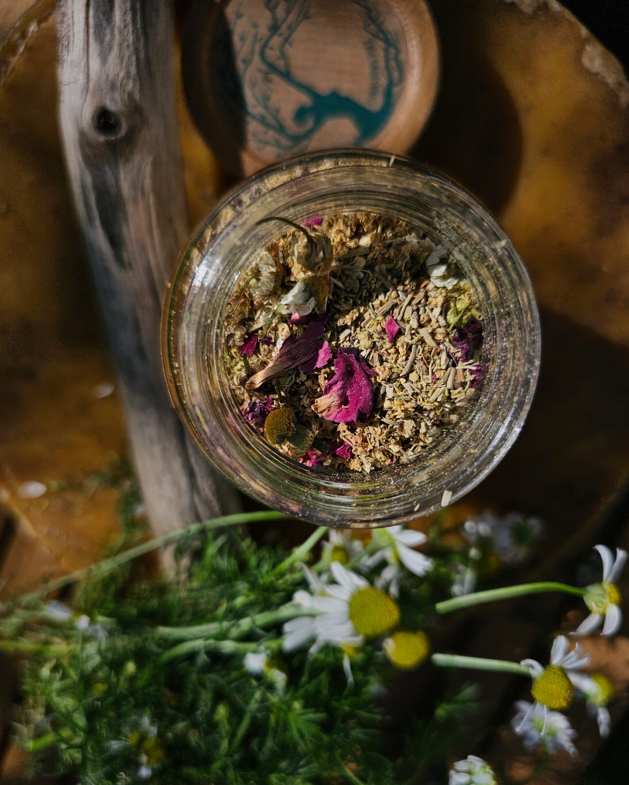 OGRÓD MARZEŃ- rumianek, róża, czarny bez - obrazek 2