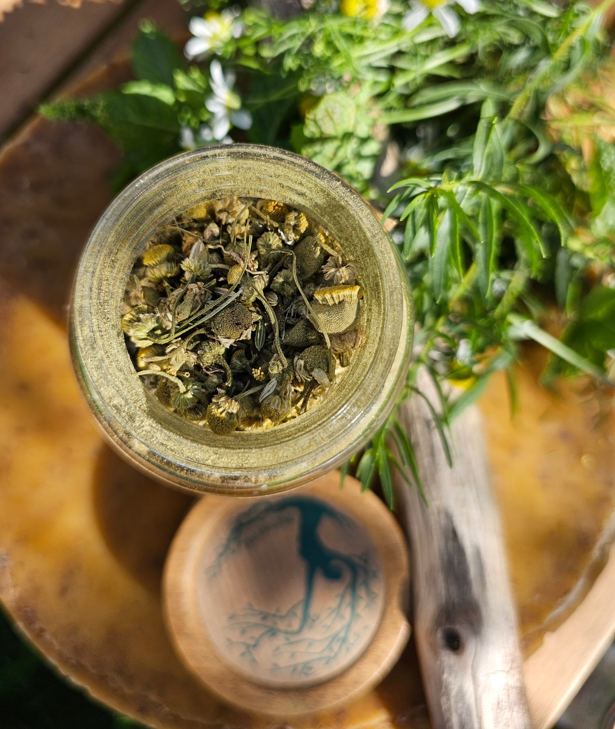 PIERDOSTOP 2.0 max -  mięta, rumianek, estragon, koper włoski, lukrecja - obrazek 2