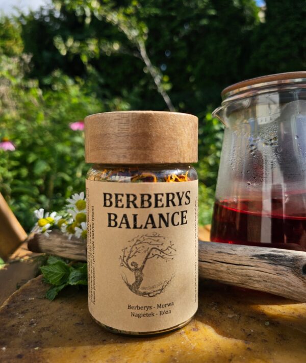 BERBERYS BALANCE - herbata ziołowa